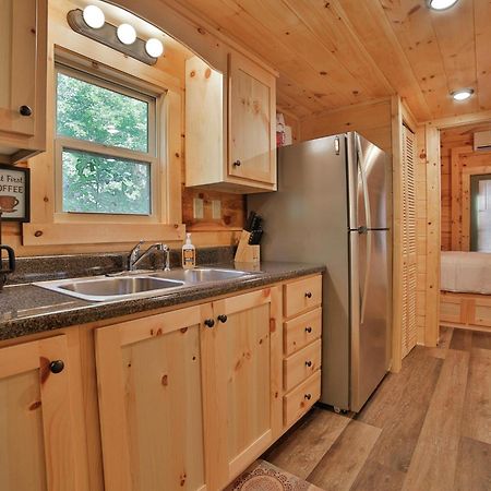 River Cabin Hot Tub & Swim Spa Near Downtown 查塔努加 外观 照片